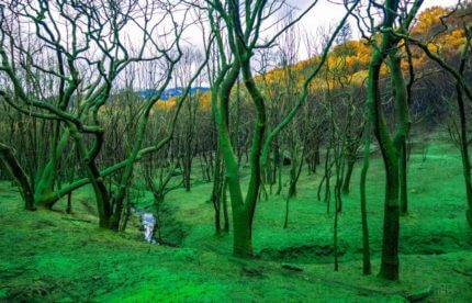 Торговля и заработок Биткоин с помощью индикатора NVT