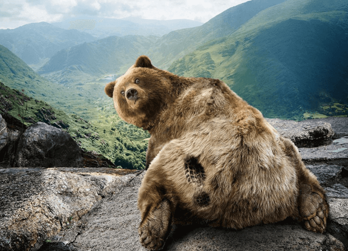 Лучшие стратегии дляdigital опционов