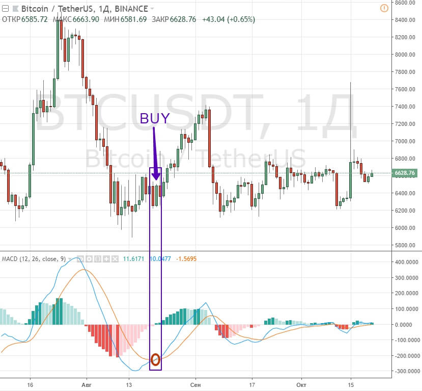 Школа по обучению торговли критовалютами. Курс за 30 минут