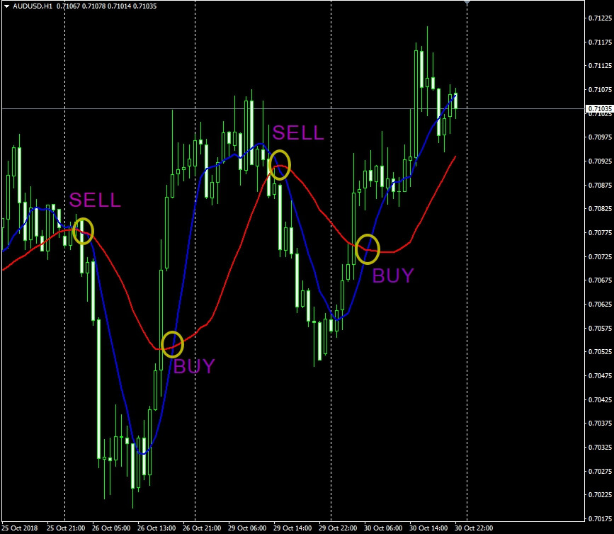 Школа и обучение Форекс торговле. Краткий и полный курс новичка