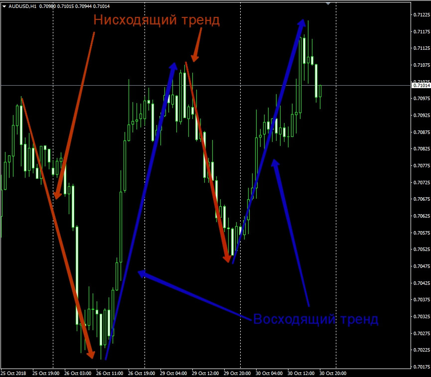 Школа и обучение Форекс торговле. Краткий и полный курс новичка