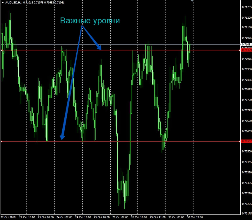 Школа и обучение Форекс торговле. Краткий и полный курс новичка