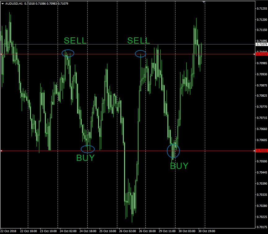 Школа и обучение Форекс торговле. Краткий и полный курс новичка